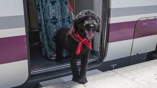 Renfe amplía a toda España sus trenes adaptados para perros de hasta 40 kilos