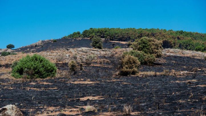El incendio de Lozoyuela desciende a nivel 1 y la UME se retira tras quedar estabilizado