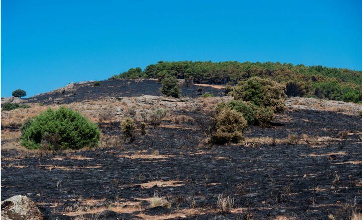 El incendio de Lozoyuela queda controlado, pero mantiene cortada la M-126