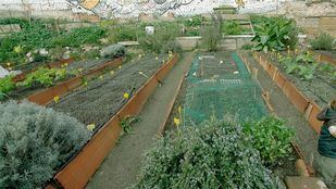 El Ayuntamiento estudia asumir el coste del agua de los huertos urbanos