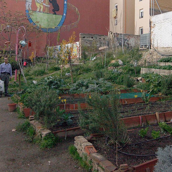 Madrid estudia asumir el coste del agua de los huertos urbanos