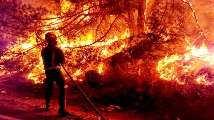Incendio forestal
