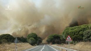 Realojadas algunas urbanizaciones en Aldea del Fresno afectadas por el incendio