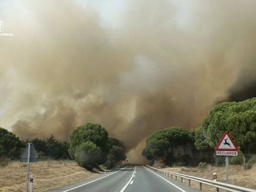 Realojadas algunas urbanizaciones en Aldea del Fresno afectadas por el incendio