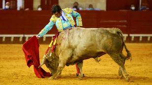 Morante vuelve a hacer el paseíllo en Colmenar Viejo