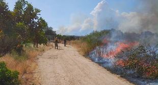 Nuevos incendios en Villa del Prado y San Martín de Valdeiglesias: evacuados a Villamanta los vecinos de Aldea del Fresno