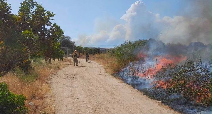 Brigadas forestales tratan de extinguir otro incendio en Villa del Prado que está afectando a Aldea del Fresno.