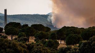 Incendio en San Martín de Valdeiglesias
