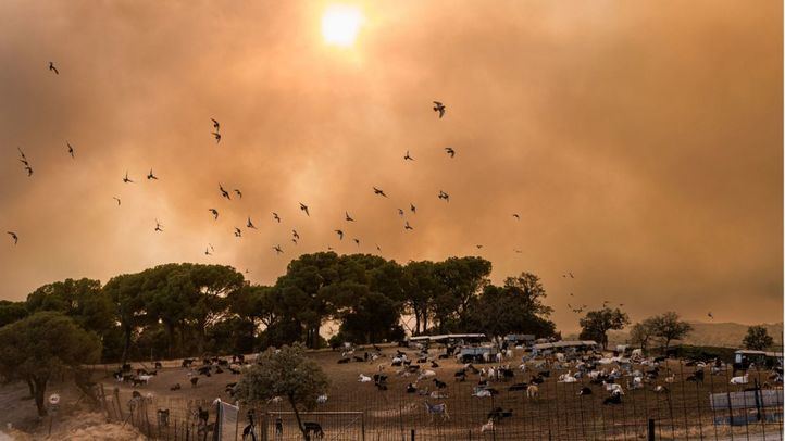 Incendio en la Sierra Oeste de Madrid.