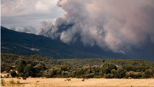 El incendio forestal de Burgohondo (Ávila) continúa activo y su evolución ha obligado a ampliar las medidas de protección a la población.