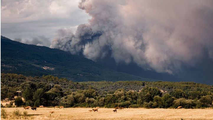 El incendio forestal de Burgohondo (Ávila) continúa activo y su evolución ha obligado a ampliar las medidas de protección a la población.
