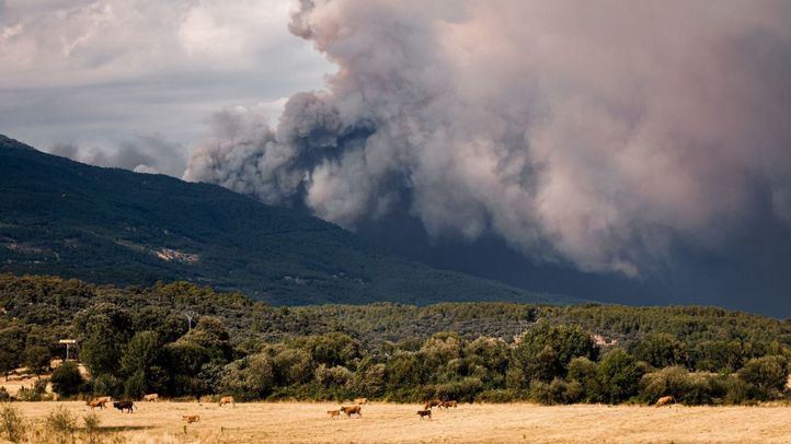 Defensa pide prudencia ante los incendios: 'A partir del lunes la situación va a mejorar muchísimo'