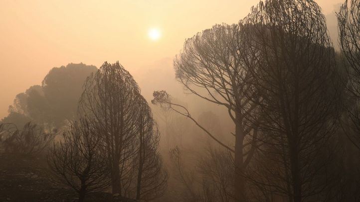 El avance del incendio obliga a desalojar Valdemaqueda con un aviso EsAlert