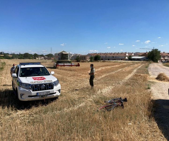 Agentes forestales vigilan la actividad de una cosechadora.