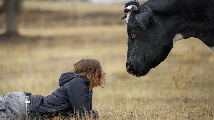 Animales del Santuario Vegan