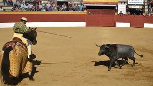 San Agustín de Guadalix: la otra Feria del Toro, del primer tercio y del aficionado