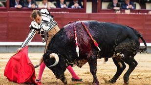 Muletazo en redondo de Javier Cortés al último toro de la corrida.