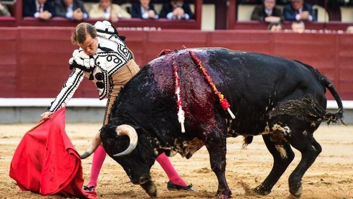 Muletazo en redondo de Javier Cortés al último toro de la corrida.