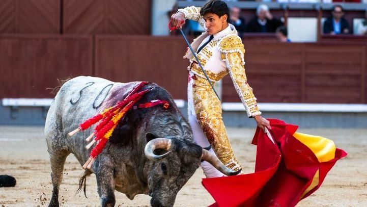 Manuel Diosleguarde muletea al natural al toro de su confirmación.