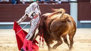 Buen toreo de Jarocho en un descastado encierro de Pedraza de Yeltes