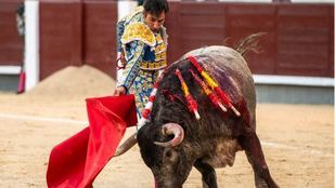Un redondo de Gómez del Pilar al último toro de la tarde.