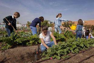 Talleres agroecológicos gratuitos para toda la familia en Huertos Montemadrid