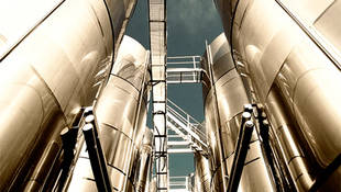 Bodegas Casa de la Viña consigue cuatro medallas de oro en la prestigiosa Berliner Wein Trophy