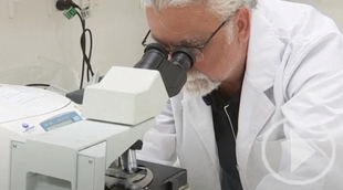 Un tratamiento con cannabis que mata las células cancerosas de la piel