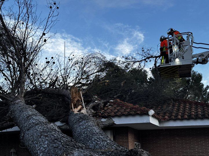 Árbol derribado por el viento sobre una casa en Villalbilla