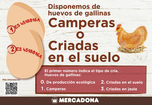 Mercadona apuesta por los huevos de gallinas libres