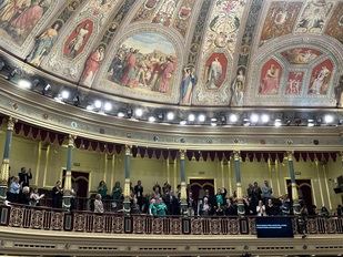 El Congreso aprueba por unanimidad la ley ELA