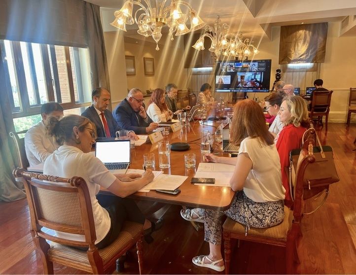 Consejo Interterritorial del Sistema Nacional de Salud