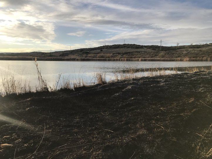 El fuego se originó durante la noche