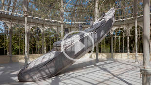 Un recorrido por la nueva muestra del Reina Sofía : El cohete y el abismo en el Retiro