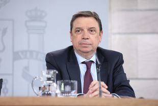 El Gobierno flexibiliza la contratación de inmigrantes y desempleados para trabajar en el campo