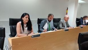 Dos de los tres concejales de Vox en 'Sanse' abandonan el grupo municipal