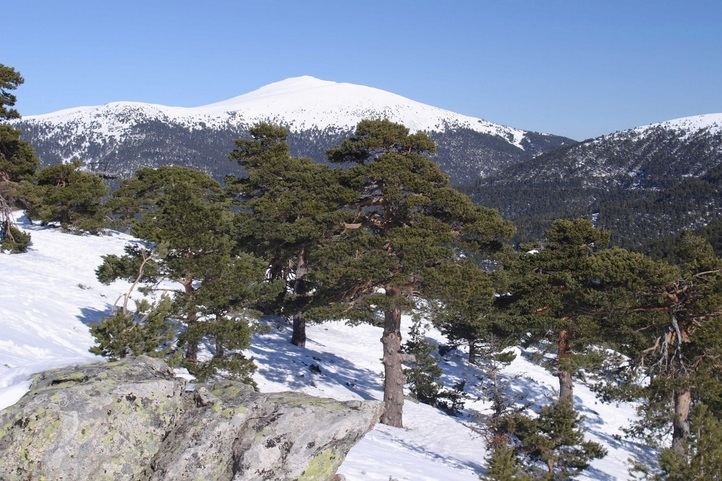 Sierra de Guadarrama