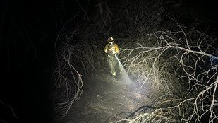 Bomberos sofocando el incendio.
