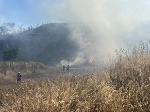 Incendio en la Cañada Real