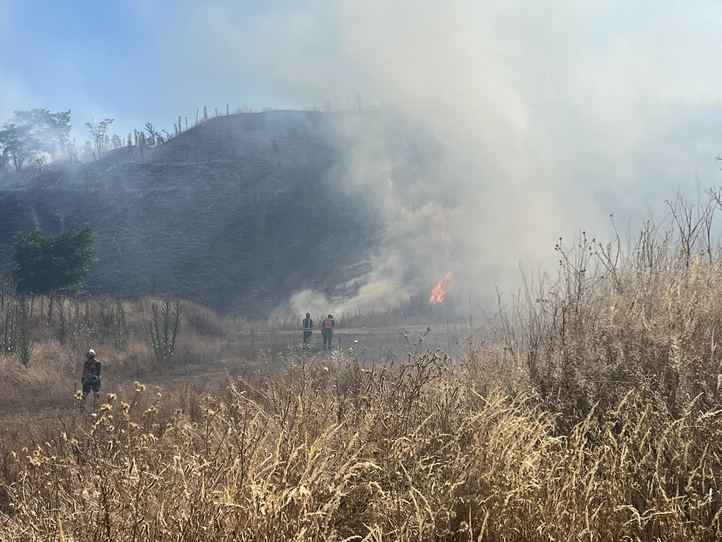 Incendio en la Cañada Real
