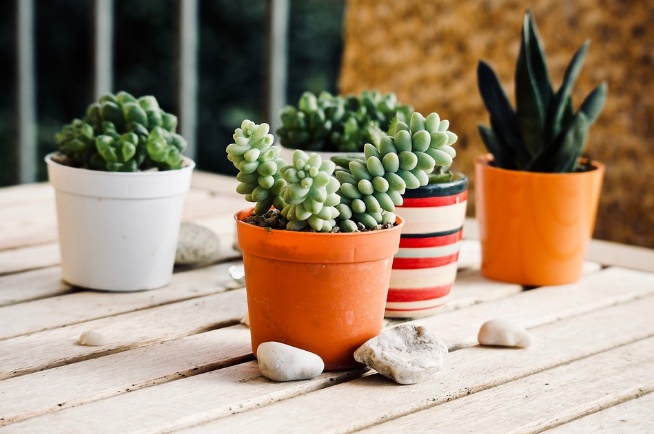 Consejos para decorar y planificar el jardín o la terraza