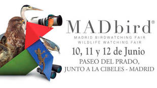 "MADbird" la Feria Internacional de Observación de la Naturaleza
