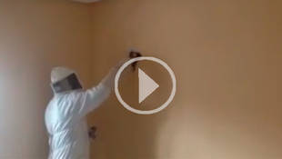 Unos vecinos de Alcalá de Henares convivían con 25.000 abejas, sin saberlo.