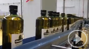 El aceite de oliva, un 52,5% más caro que hace un año