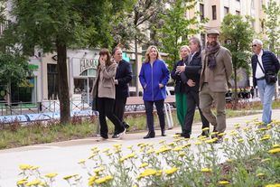 Renovación Bulevar reina Victoria