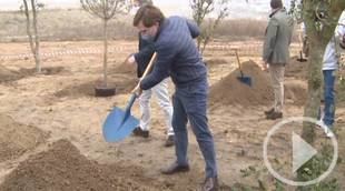 Arrancan las obras del gran parque de Valdebebas