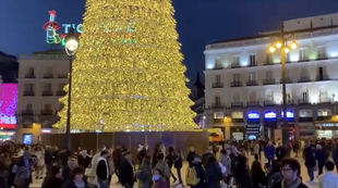 Iluminado el gran abeto de la Puerta del Sol en una plaza ya despejada