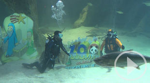 Inaugurado el Belén de tiburones del Zoo de Madrid