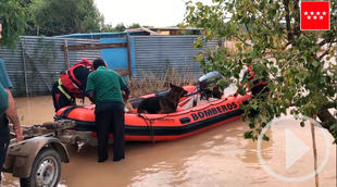 Rescate de dos perros en la riada de Arganda