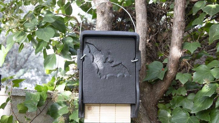 Cajas para murciélagos